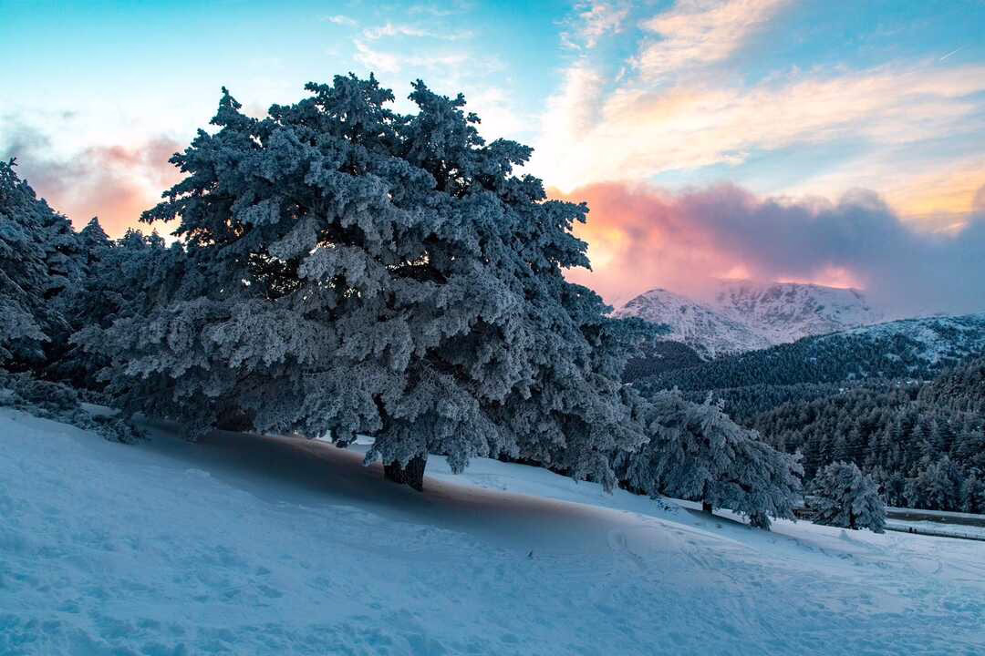 Mercados de Navidad en la Sierra Norte de Madrid