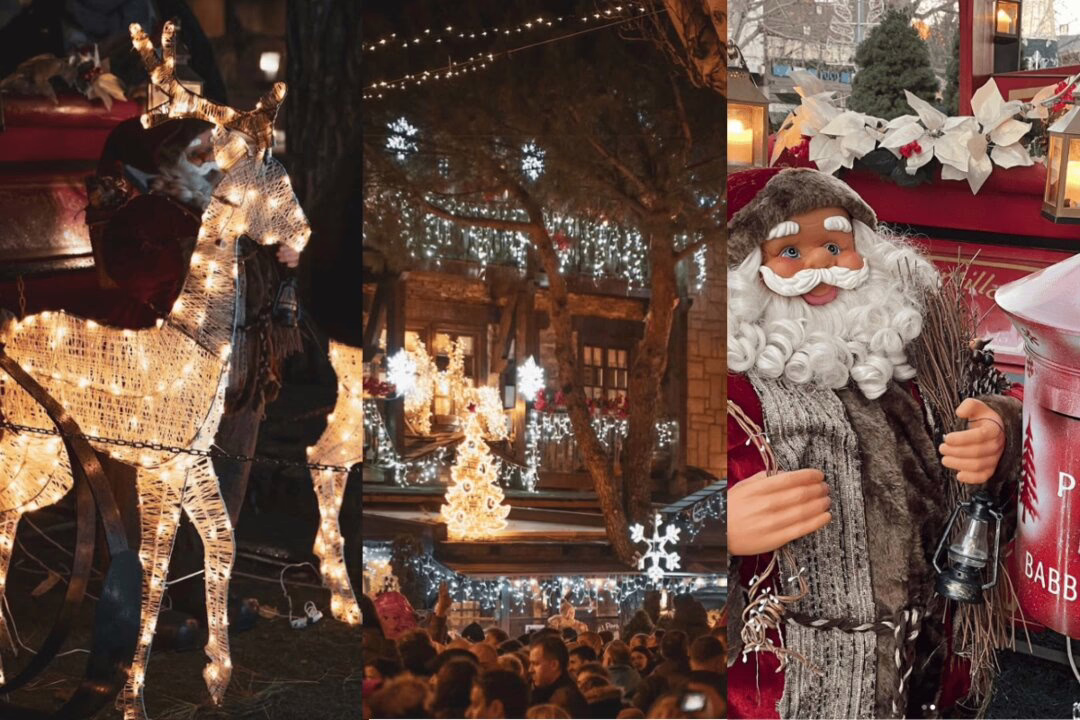 Actividades y celebración de fin de año.