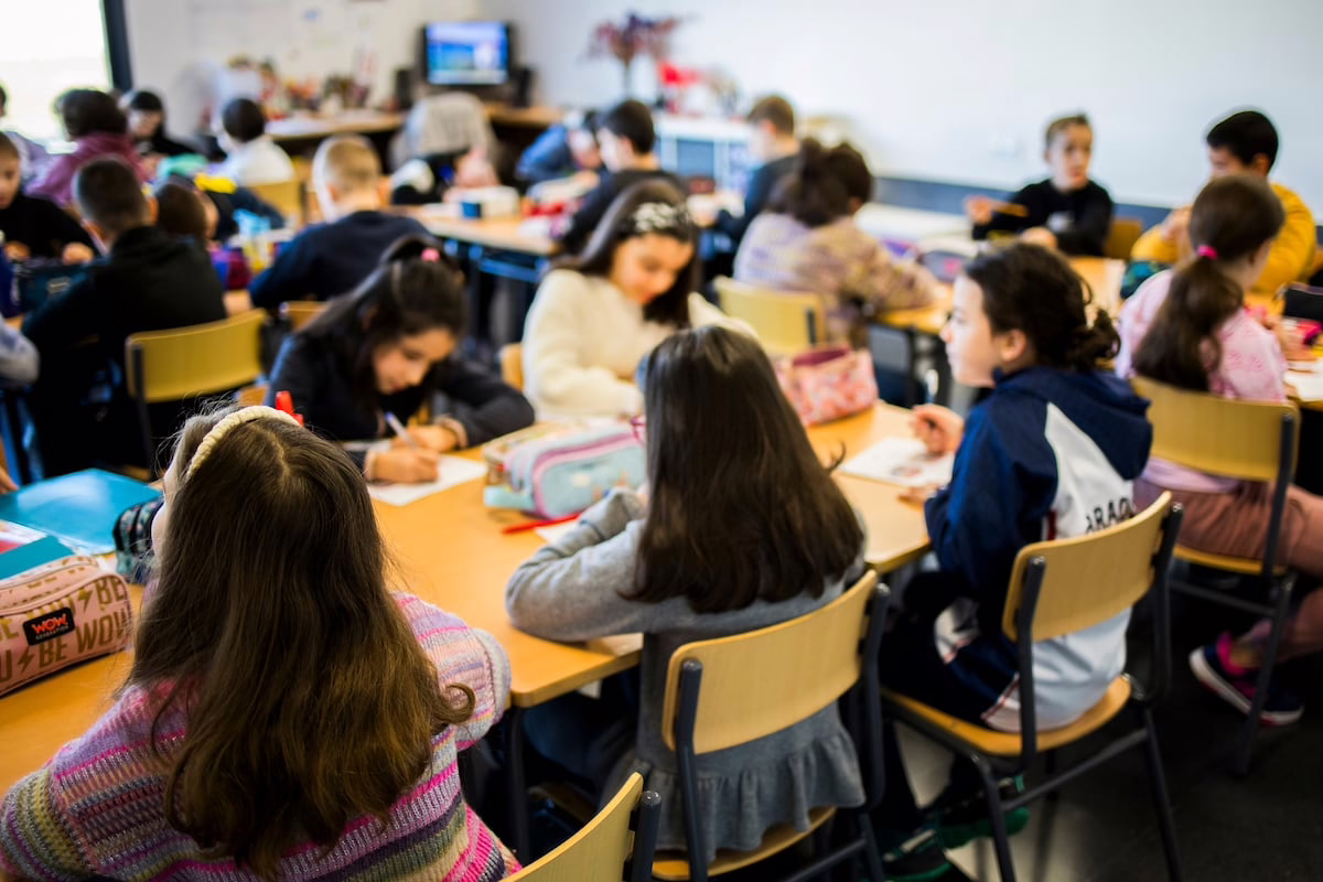 PROA+: El programa educativo para estudiantes en situación de vulnerabilidad que fue descontinuado por Rajoy, ahora impulsa el éxito académico en 3.000 escuelas y colegios | Educación