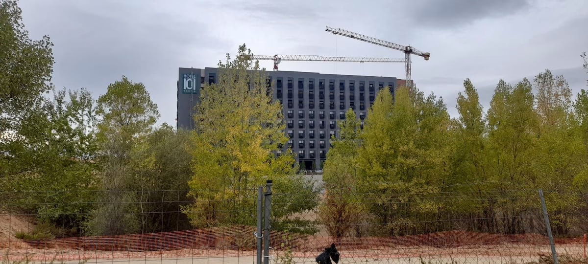 Se ofrece habitación de hotel: el nuevo activo para los tradicionales inversores en alquiler | Noticias de Madrid