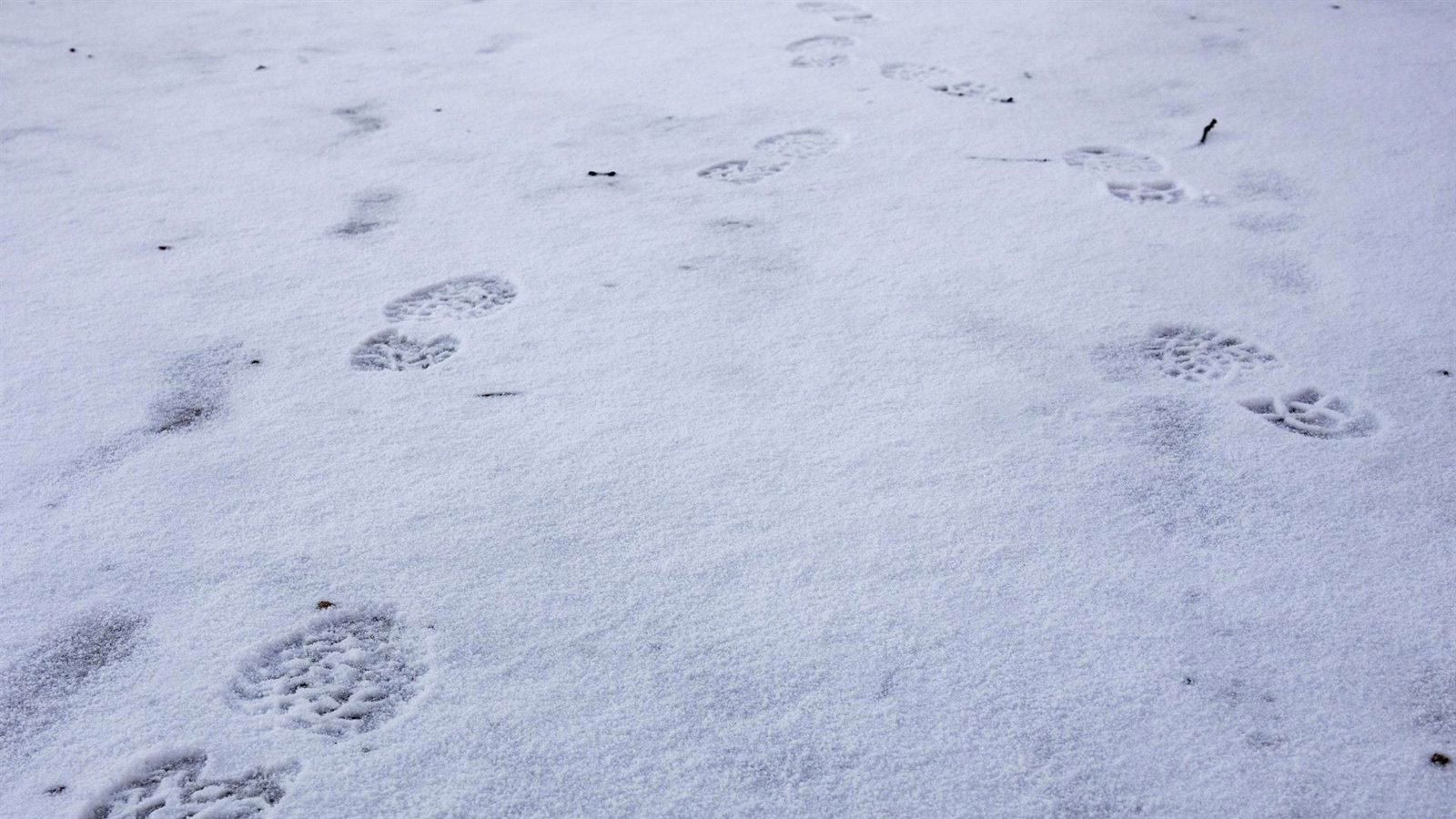Aemet Emite Alerta Amarilla en Madrid por Nieve en las Montañas.