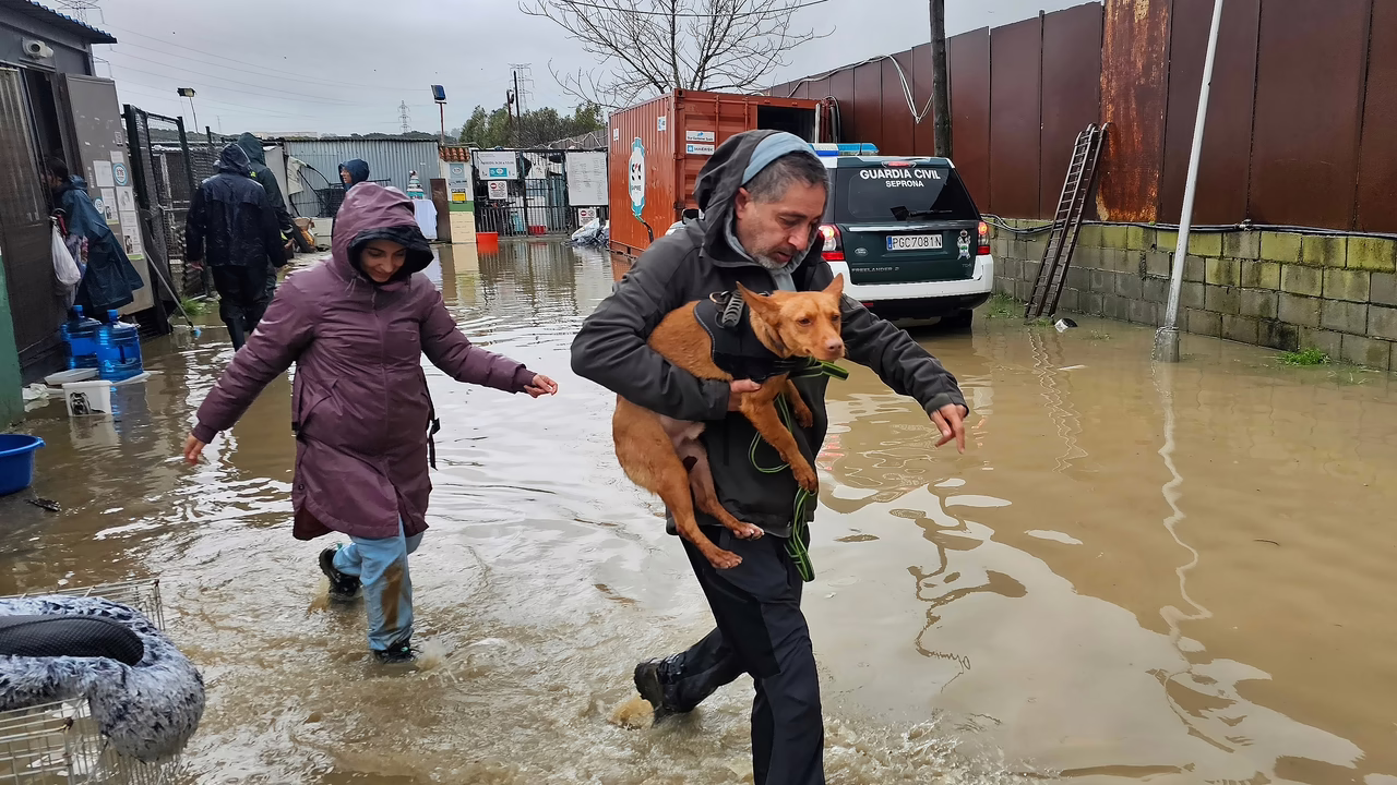 Cádiz y Málaga, afectadas por las intensas lluvias.