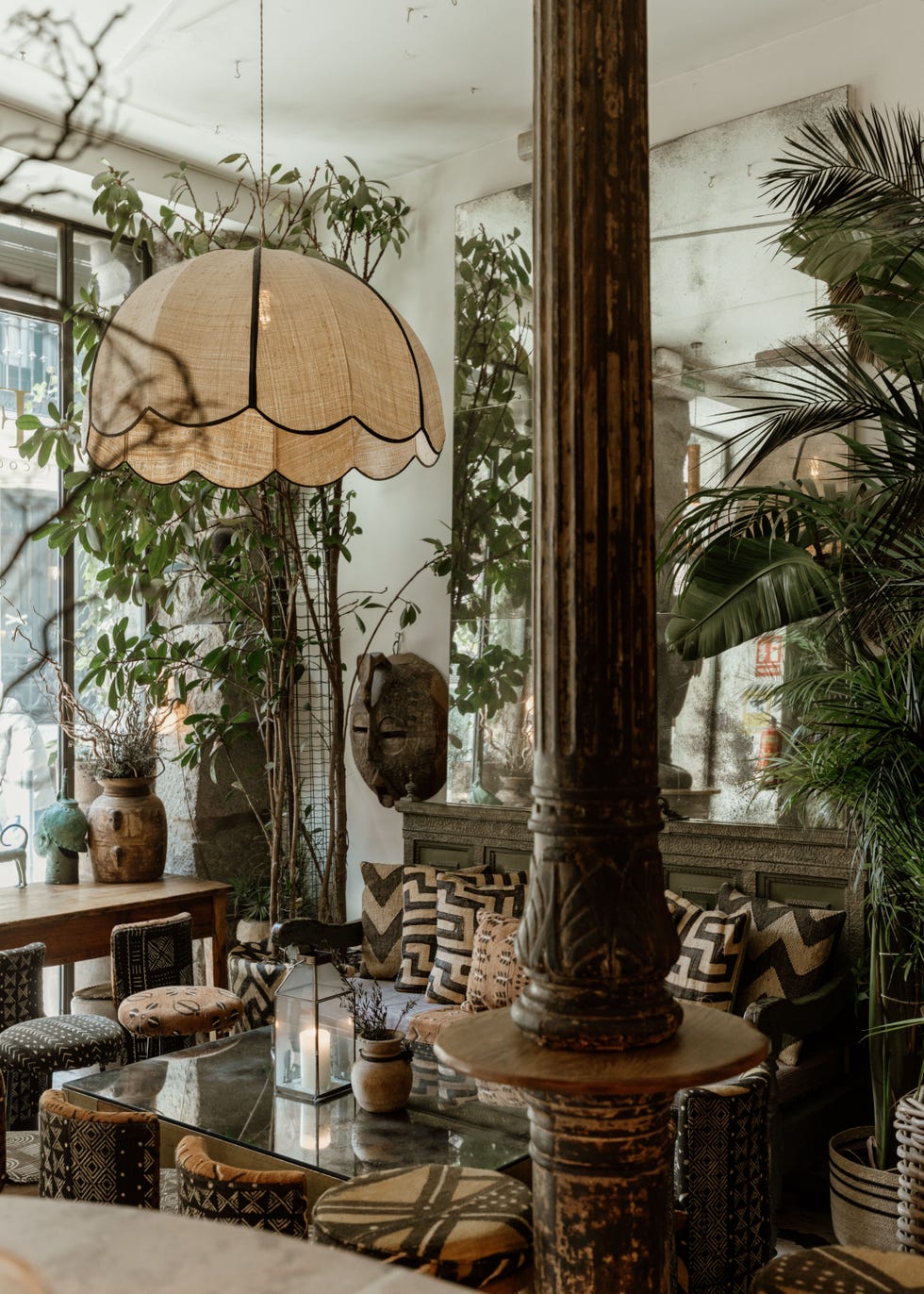 interior de ficus