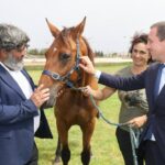 Tres personas interactuando con un caballo en un hipódromo