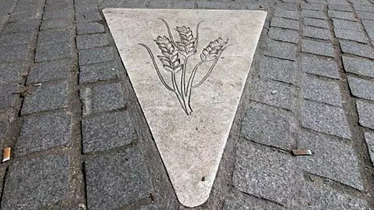 Ramillete de cebada