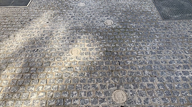 Herraduras de caballo