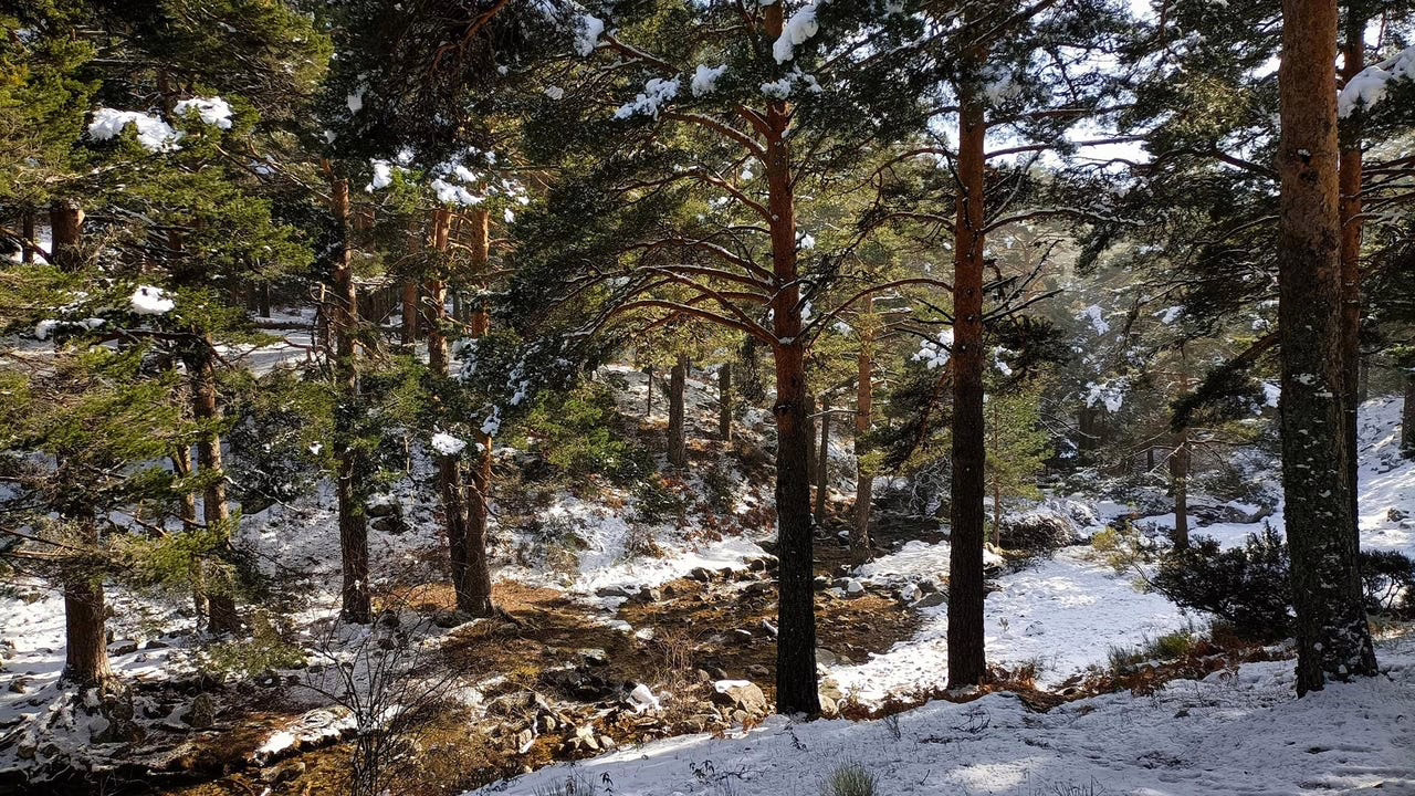 Alerta amarilla por vientos de hasta 80 kilómetros por hora esta tarde en la Sierra.