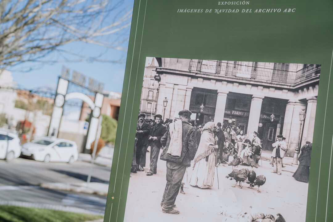 Muestras de arte y fotografía en Las Rozas este fin de semana.