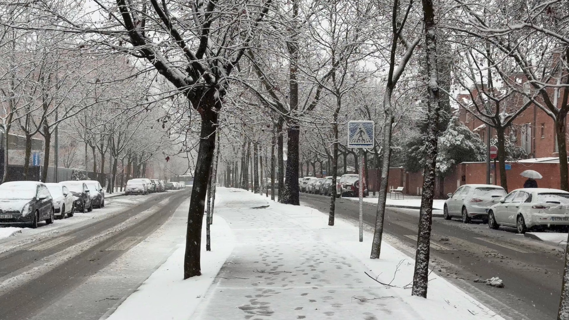 Restablecida la normalidad en todas las calles urbanas, transporte y trayectos por carretera – Revista 360y5