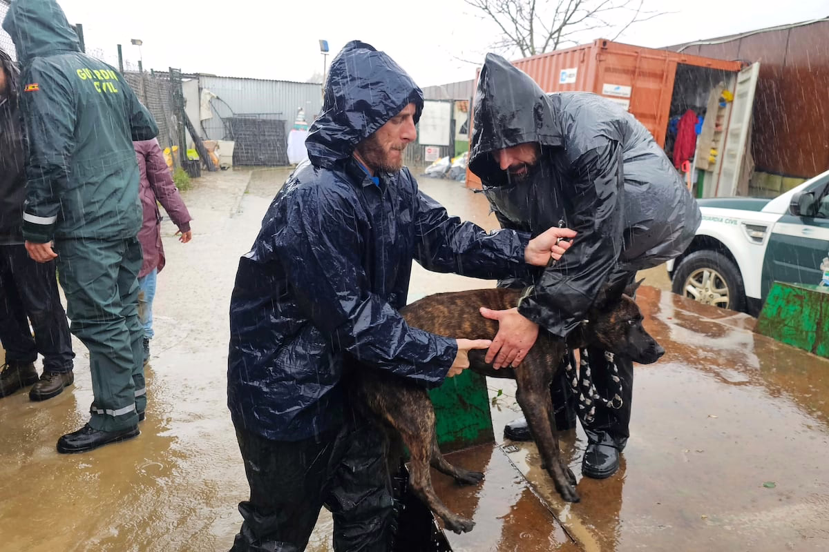 Todas las comunidades, salvo Extremadura, están en alerta por la tormenta 'Francis', que traerá lluvias, nieve, bajas temperaturas y oleaje | Pronóstico del tiempo hoy en España y en el mundo.