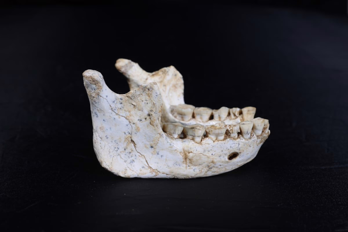 Descubiertos en Marruecos los restos de un antecesor del ‘Homo sapiens’ que habitó hace 770.000 años | Ciencia