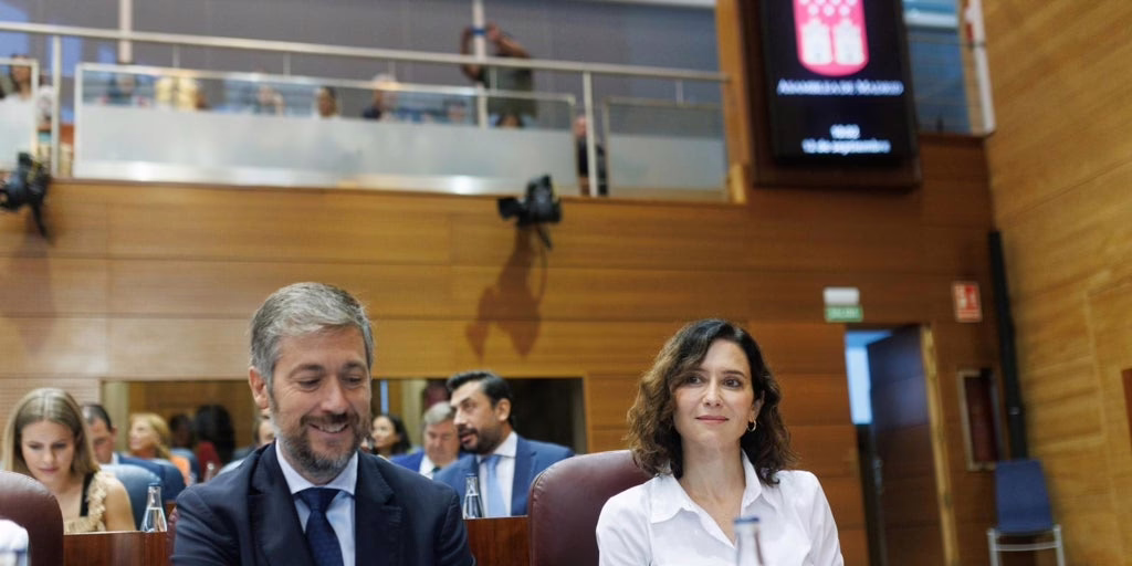 Las leyes de organización de la Comunidad de Madrid expirarán a los cinco años.