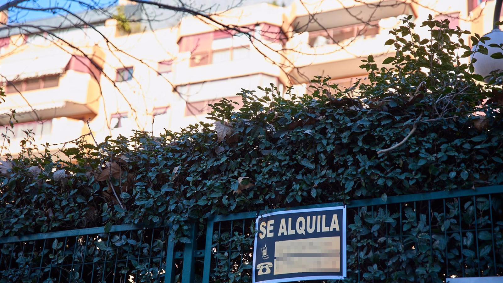 El Precio del Alquiler en Madrid Creció un 9,7% en 2025: Idealista Comparte Información Importante