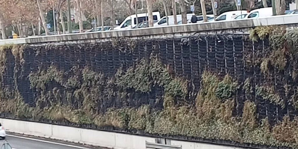 Recuperan el jardín vertical de la M-30 después de que se incendiara en Nochevieja.