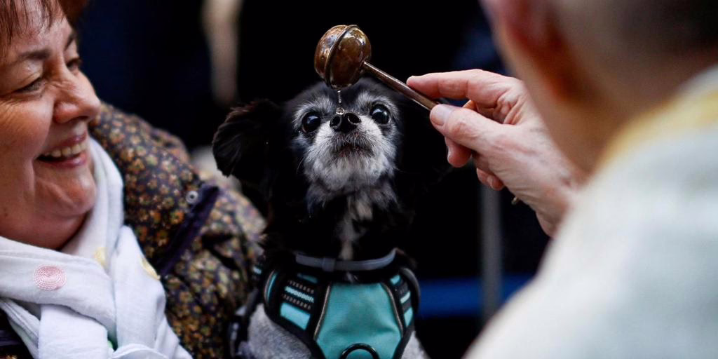 Fechas, itinerario, desfile de mascotas y rutas de acceso.