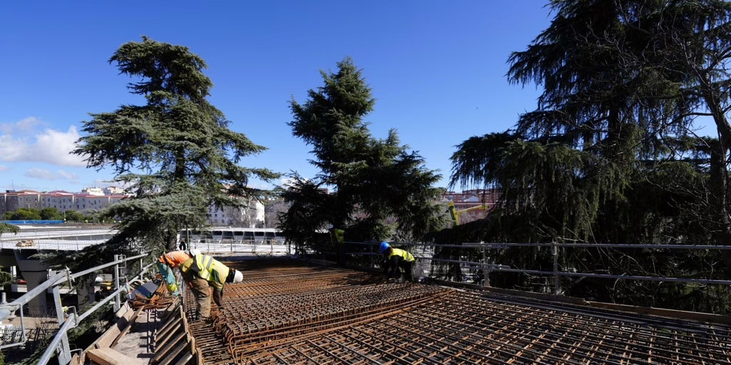 El desafío de diseñar un sendero entre las copas de los árboles sin inundar ni interrumpir el área más crítica de la M-30.
