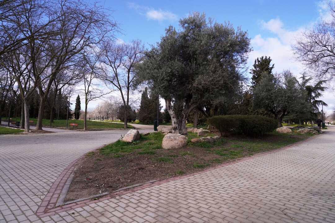 Intervenciones en el parque de Las Cruces: etapa III