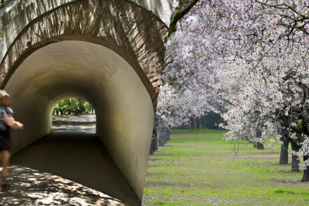 Parque de la Quinta de los Molinos. Imagen del Ayuntamiento de Madrid.