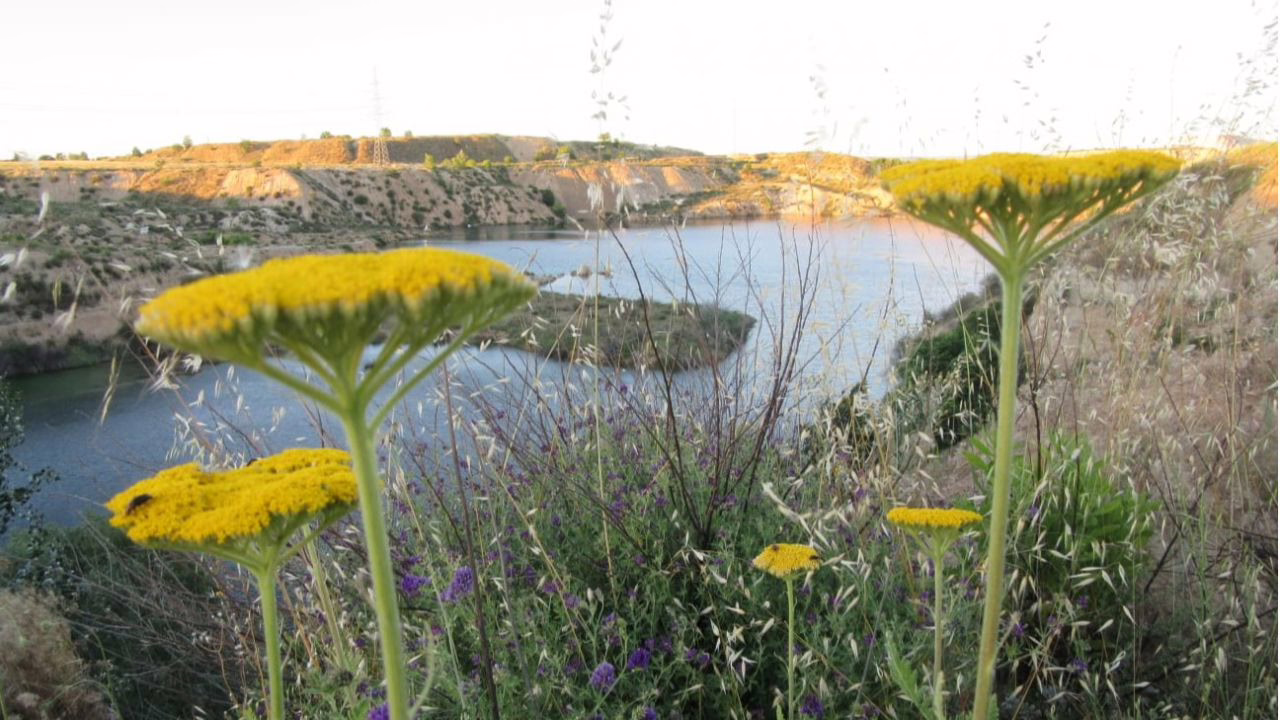 Lagunas de Ambroz: retos y discusión en torno a su conservación.