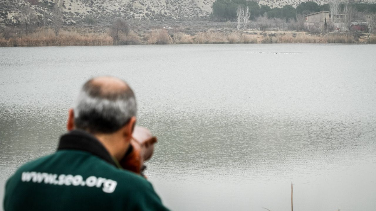 Un técnico de Seo Bird Life tomando fotografías en un humedal
