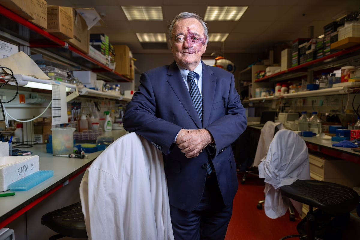 La historia real detrás de "la primera terapia efectiva para el cáncer de páncreas" de Mariano Barbacid | Ciencia
