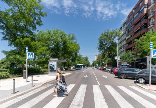 Paseo Pintor Rosales.
