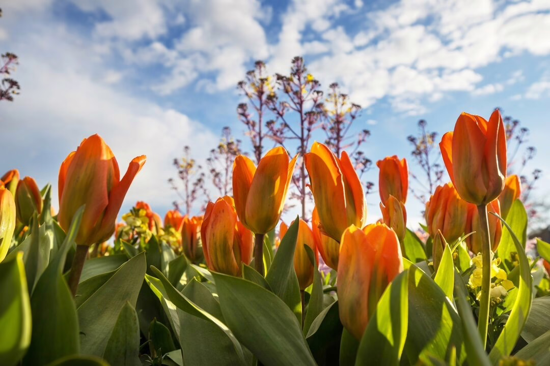Primavera en Madrid con Hábitat: experiencias ecológicas