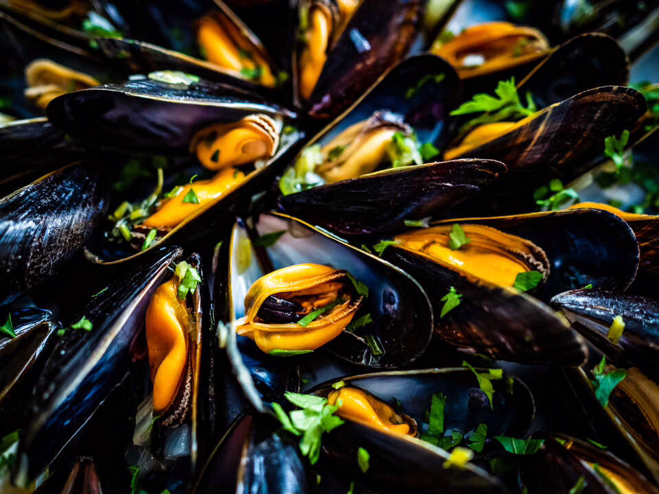 Sevilla la Nueva conmemora la Feria del Marisco ofreciendo una degustación gratuita de mejillones este jueves.