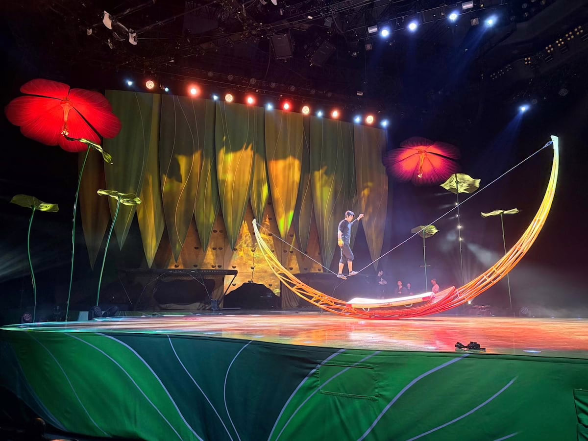 Cirque du Soleil presenta 'OVO' en Madrid y así es su asombroso detrás de cámaras | Noticias de Madrid