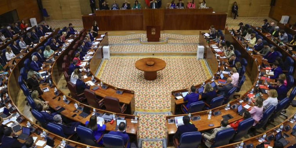 PP y Vox consideran reducir el número de diputados en la Asamblea debido al aumento poblacional.