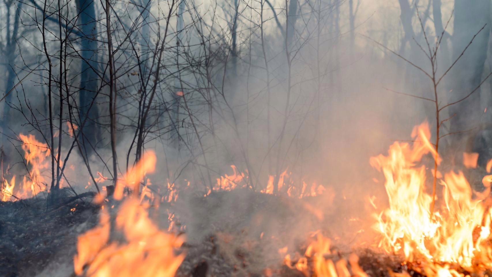 Escenario 'difícil' debido a los vientos fuertes