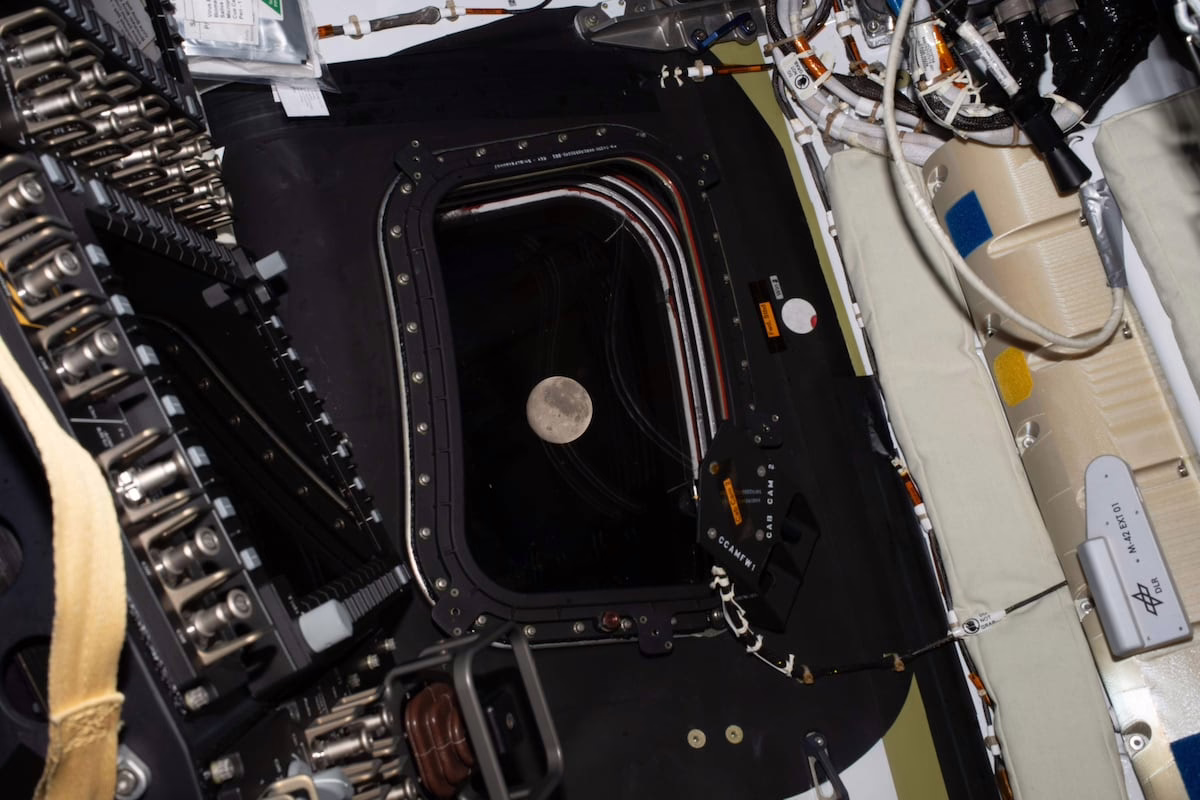 Eclipse solar, a la distancia más lejana y vistas únicas de la Luna: lo que traerá un día lleno de logros para Artemis 2 | Ciencia