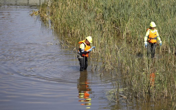 El Ayuntamiento inicia la campaña para combatir la mosca negra en el río Manzanares.